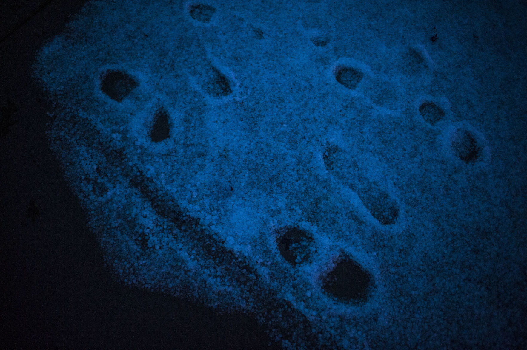 VOYAGER FLOOD